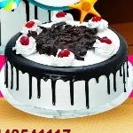 Test dish